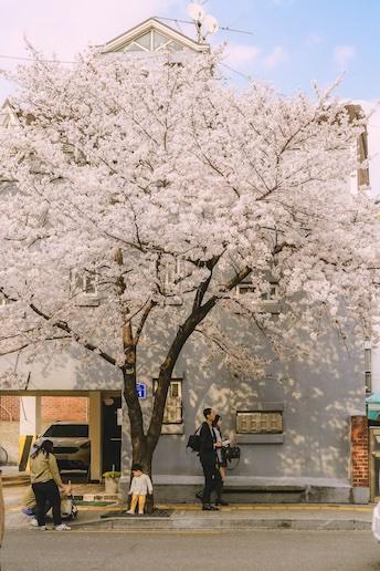 Concept art of minimal workspace